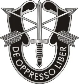 special forces patch insignia