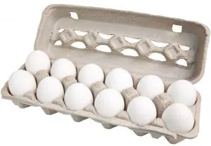 egg carton